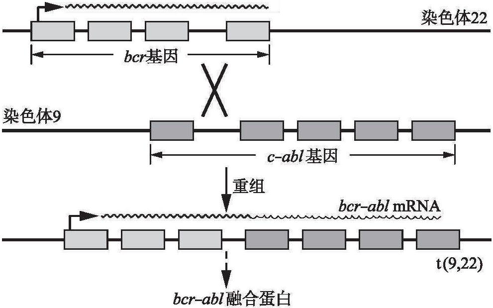 染色體重排